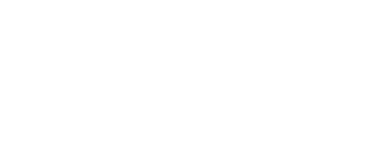 MEIC